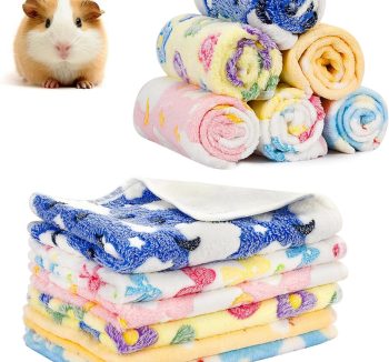 guinea pig bedding absorbent