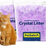 small pet litter safe