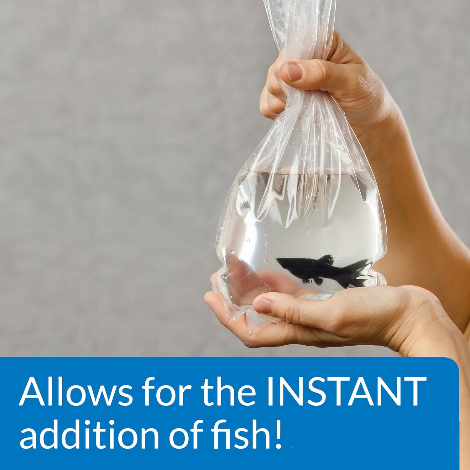 API QUICK START Freshwater and Saltwater Aquarium Nitrifying Bacteria 1-Ounce Bottle, Blues & Purples - Happypetzone.online - Image 3