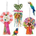 natural bird food