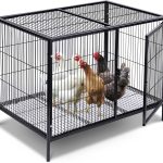 rabbit hutch outdoor