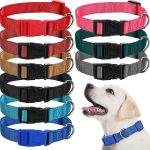 cheap dog collars bulk