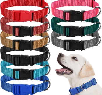 cheap dog collars bulk