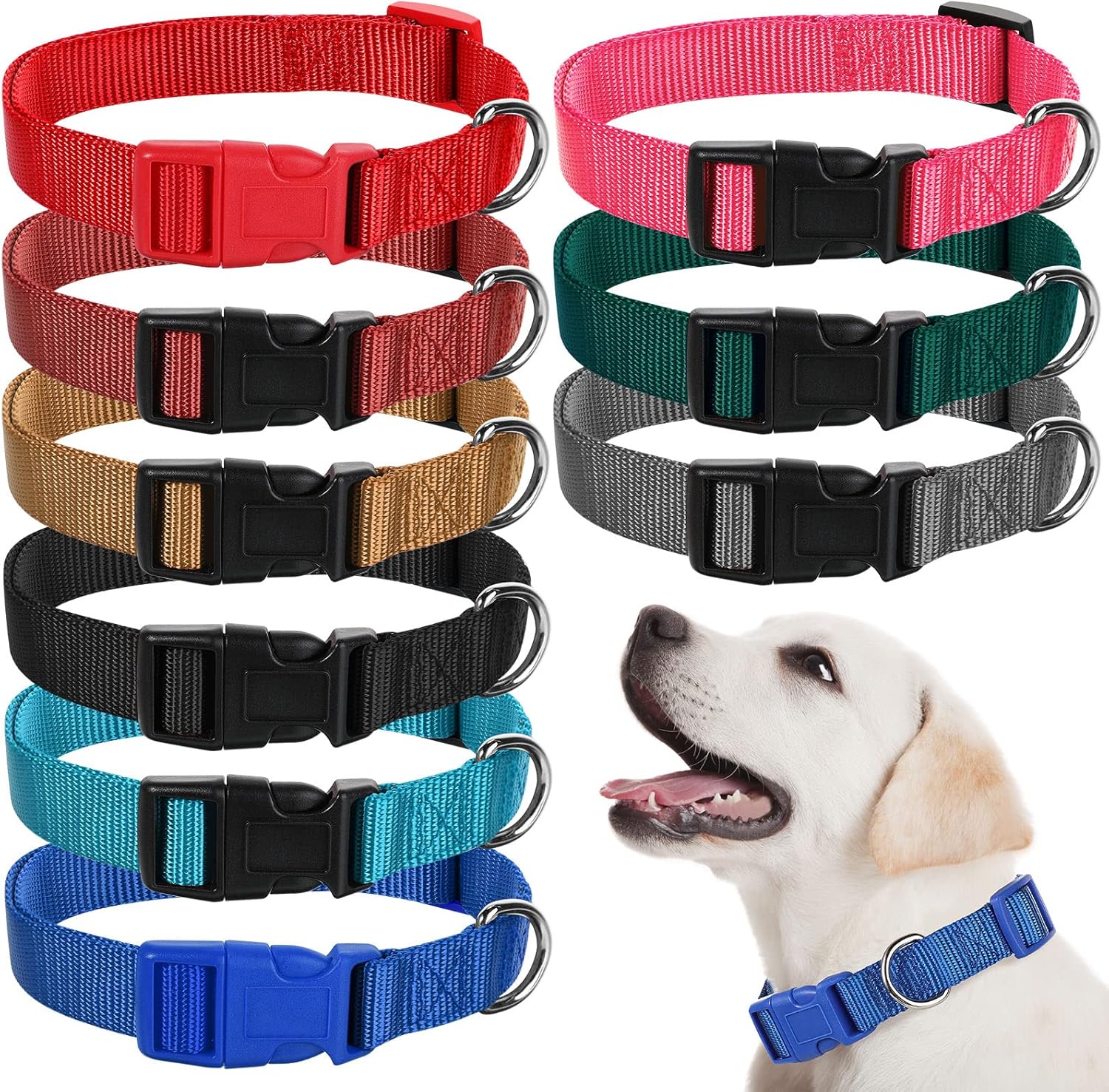 cheap dog collars bulk
