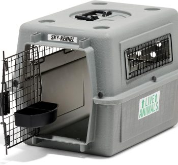 dog travel crate