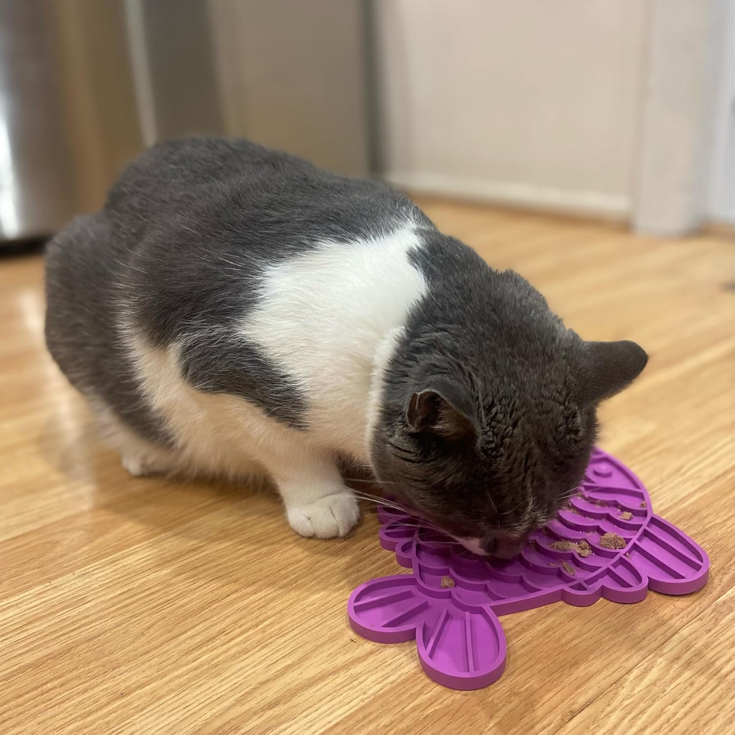 SPOT Soother Lick Mat-Licking Mat for Cats, Kittens, Medium and Large Dogs and Puppies, Food Grade Rubber, Anxiety Reliever, Dog Peanut Butter Lick Pad, Slow Feeder, 9.75inch, Fish - Happypetzone.online - Image 6