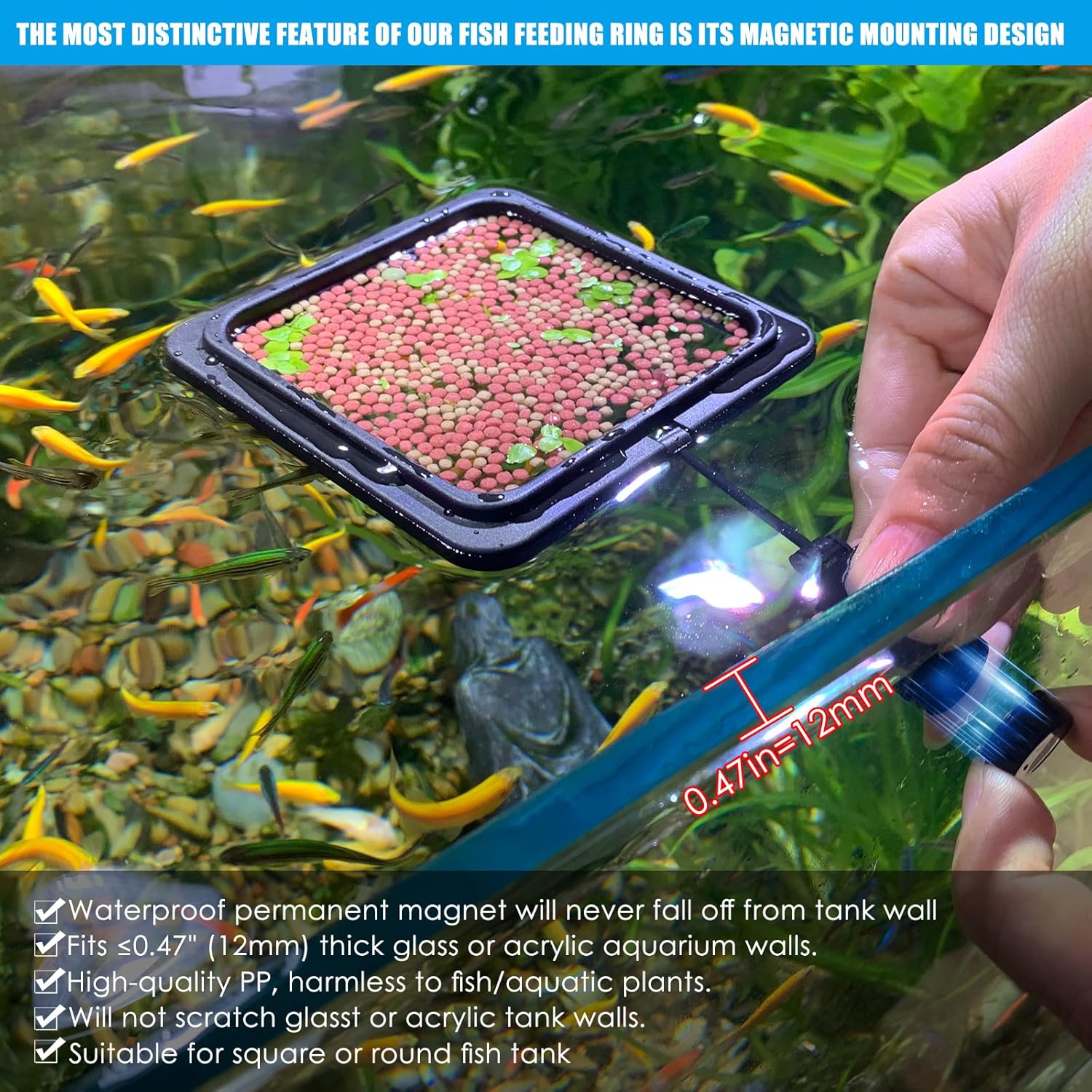 Magnetic Fish Feeding Ring, Floating Aquarium Feeder Ring for Fish Tank,Betta Feeding Ring for Goldfish, Guppy, Fresh/Saltwater Tanks- Prevents Food Scattering and Anti-Falling Off(Patented Product) - Happypetzone.online - Image 2
