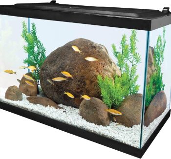 aquarium kit complete