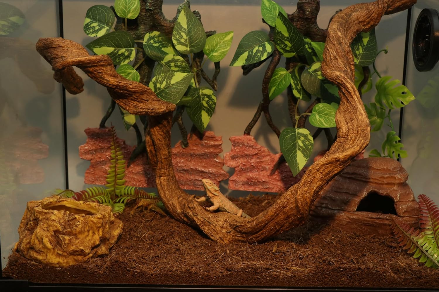 AQUA KT Reptile Twist Climber Vine Bendable Branch for Lizard Snake Bearded Dragon Crested Gecko Climbing Accessory Terrarium Habitat Decoration - Happypetzone.online - Image 3