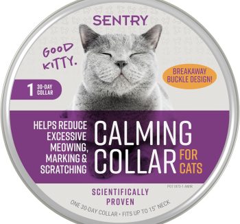 cat calming supplement