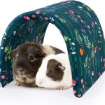 guinea pig tunnel toys