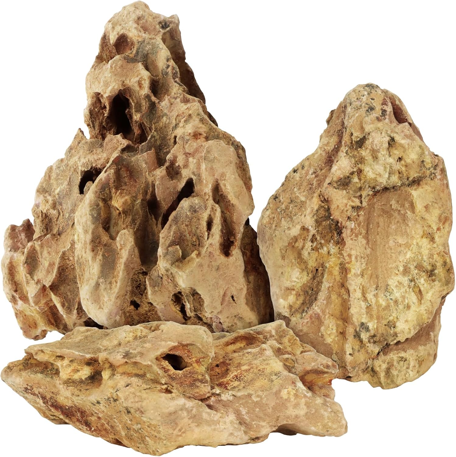 reptile decor rocks