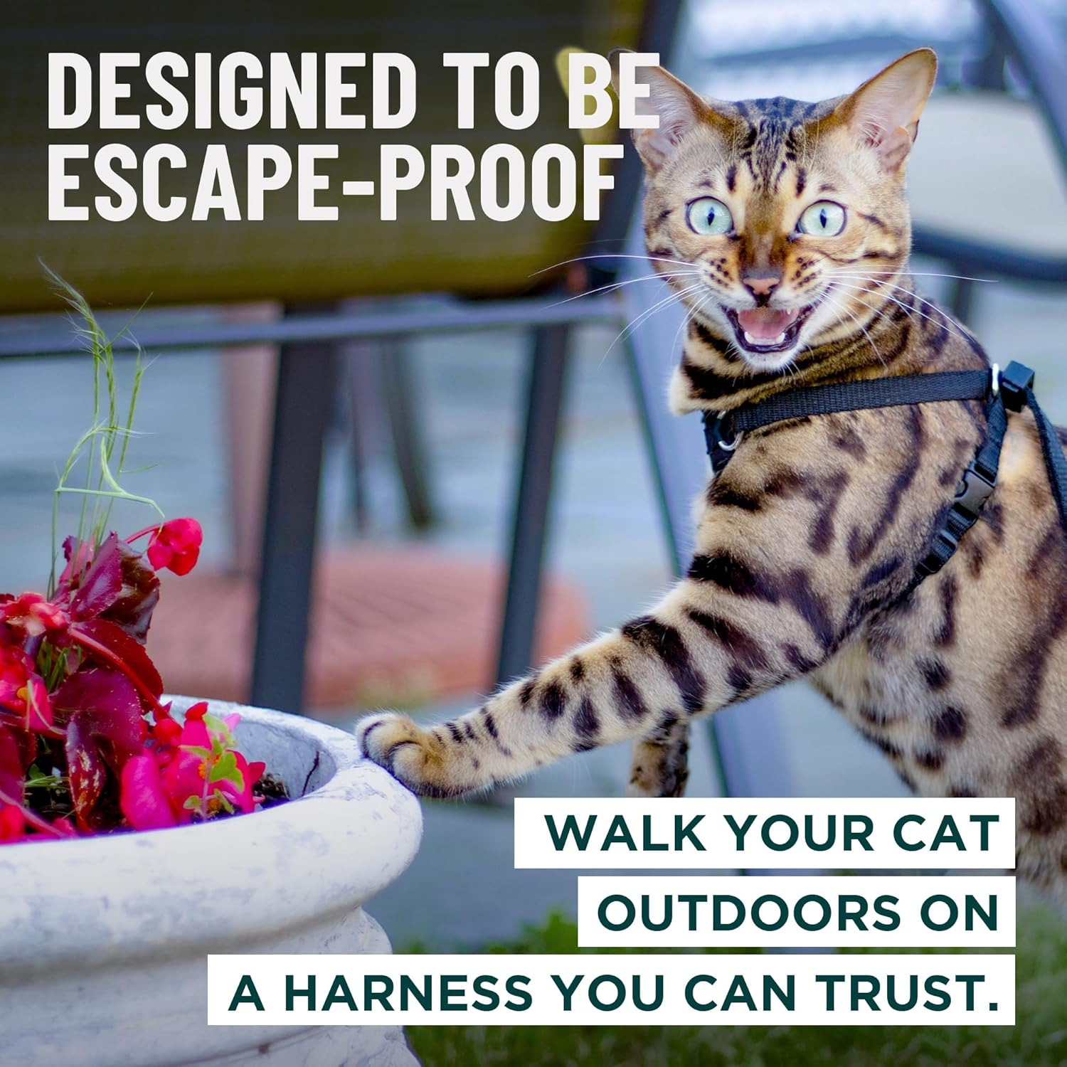 Houdini™ Escape Proof Cat Harness and Leash Set by OutdoorBengal – Black, Medium Cat Harness for Walking - Happypetzone.online - Image 2