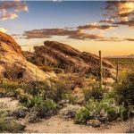 reptile background decor