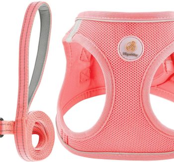 dog harness for small dogs