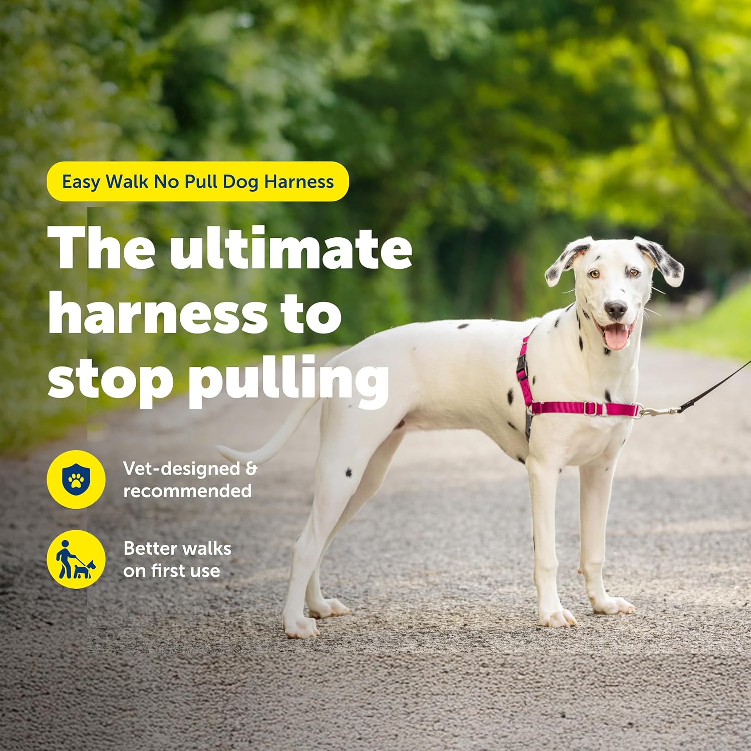 PetSafe Easy Walk No-Pull Dog Harness - Ultimate Harness to Help Stop Pulling - Pull-Free Walks - Take Control & Teach Better Leash Manners - Patented Martingale Loop Design - Raspberry, Medium/Large - Happypetzone.online - Image 2