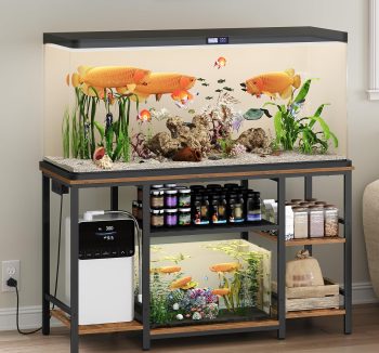 reptile tank with stand