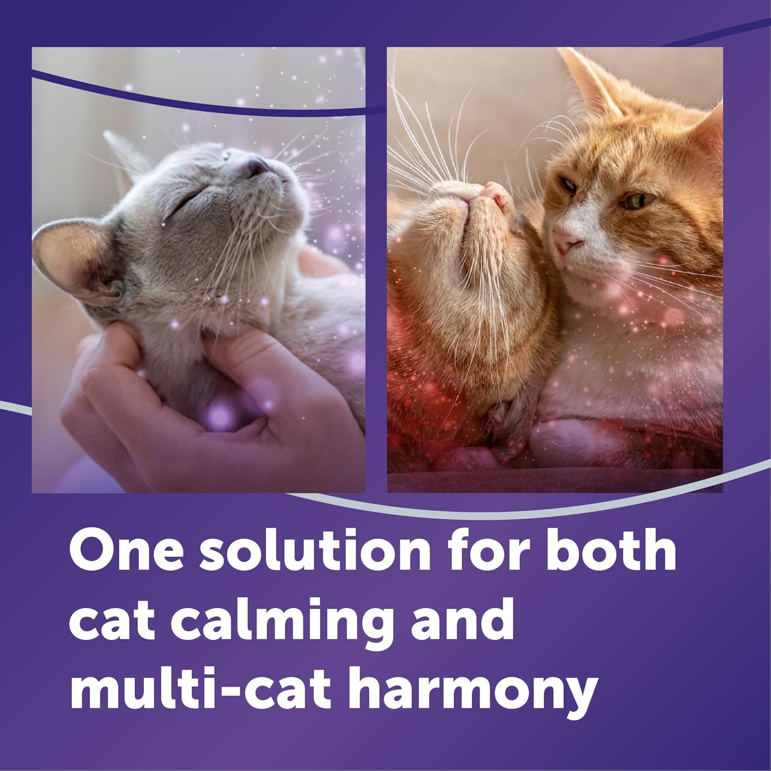FELIWAY Optimum Cat Calming Diffuser Refill (1 Pack, 30 Day Supply) – Cat Pheromone Diffuser Refill for Advanced Support to Reduce Stress, Spraying, Scratching, Fighting and Hiding - Happypetzone.online - Image 2