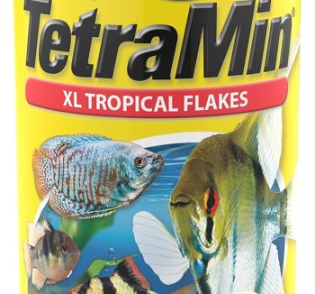 fish food flakes