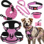 dog leash set