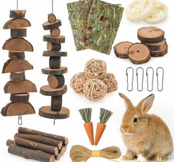 rabbit treats natural