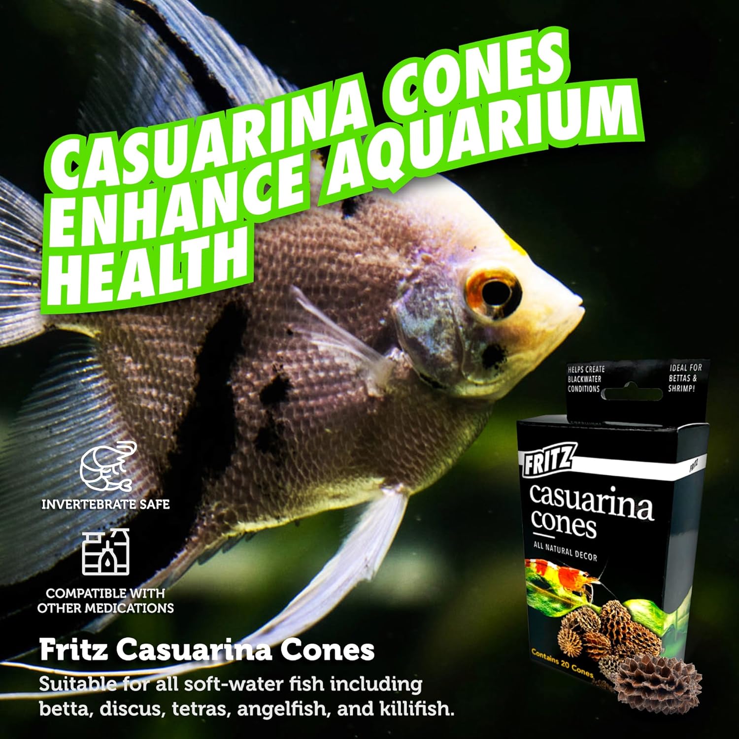 Fritz Aquatics Betta Botanicals for Betta and Community Fish Aquariums (Casuarina Cones - 20ct) - Happypetzone.online - Image 4