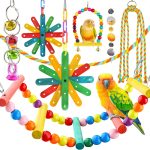 bird toys colorful