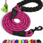 dog leash durable