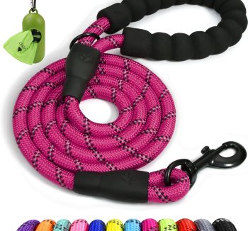 dog leash durable