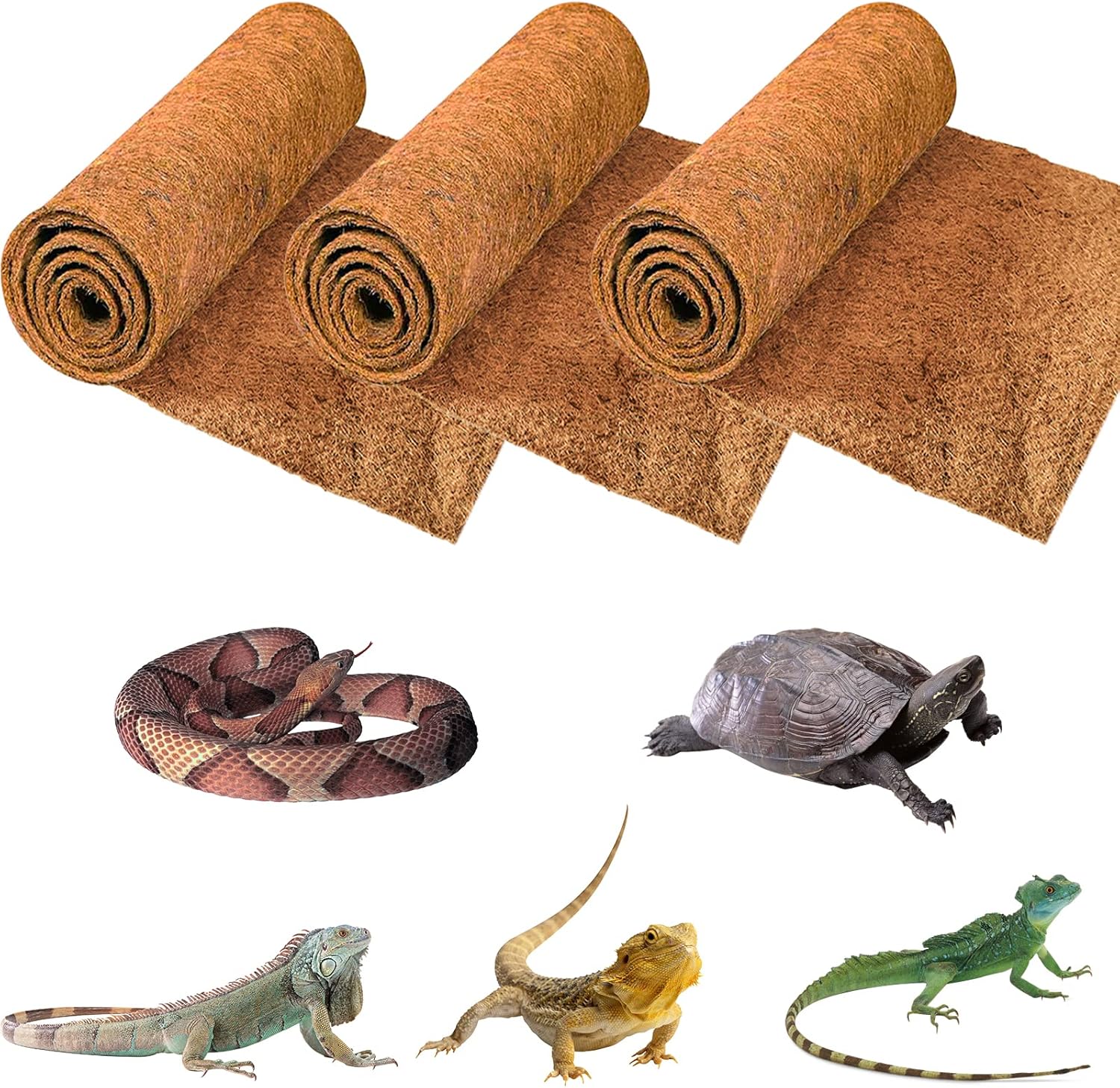 reptile bedding easy clean