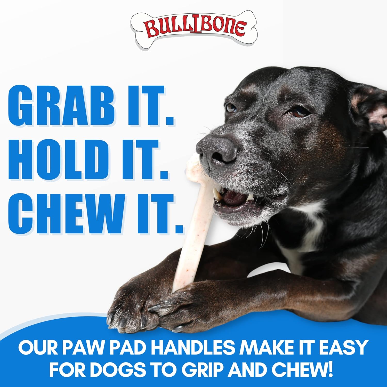 Bullibone Nylon Dog Chew Toy for Aggressive Chewers - Dental Hygiene Bone with Bacon Flavor, Durable Tough Chew Toys for Small Dogs, Indestructible Dog Bone - 2 Pack - Happypetzone.online - Image 7