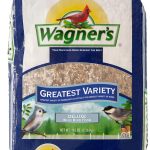 best bird food