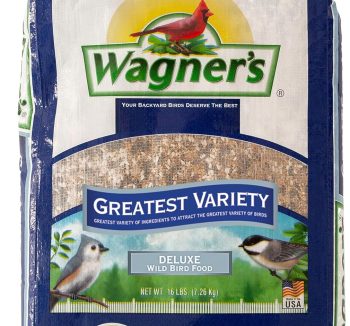 best bird food
