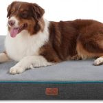 dog bed memory foam