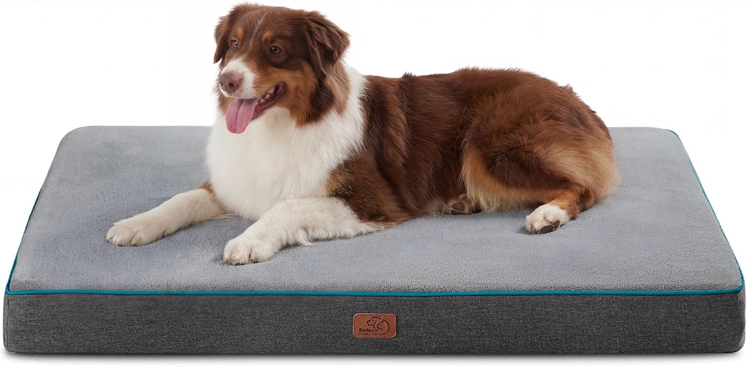 dog bed memory foam