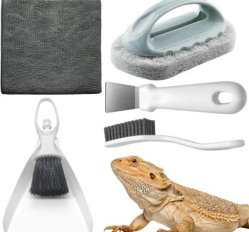 reptile food starter kit