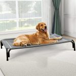 raised dog bed outdoor