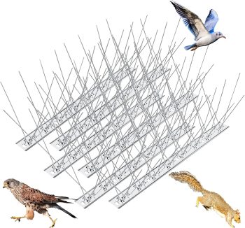 bird disease prevention products
