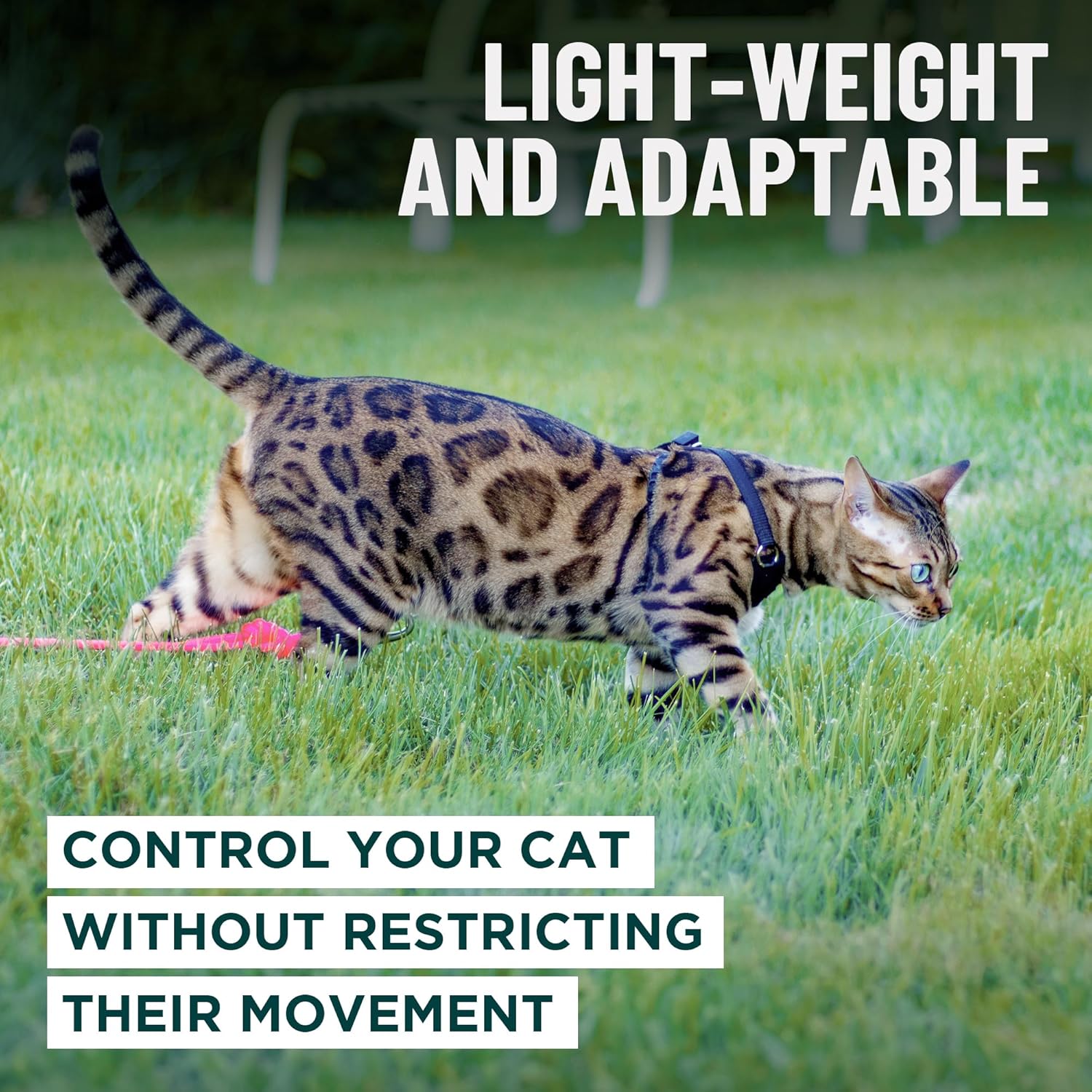 Houdini™ Escape Proof Cat Harness and Leash Set by OutdoorBengal – Black, Medium Cat Harness for Walking - Happypetzone.online - Image 7