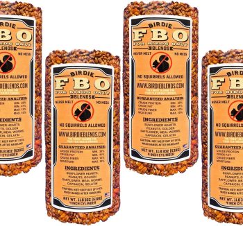 bird food amazon best