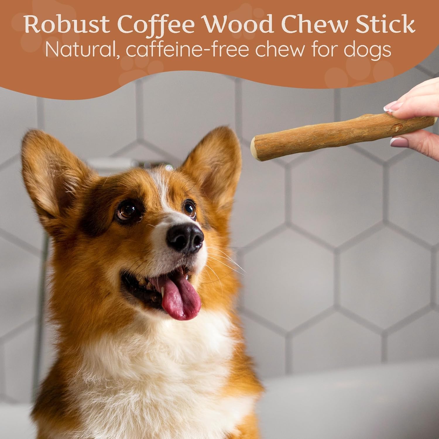 Wildfang® Coffee Wood Dog Chew, Medium - Tough Chew Toys for Aggressive Chewers, Dog Teething Toys for Puppies, Training for Chewing Muscles, Coffee Tree Sticks for Medium Dogs (33-55 lbs) - Happypetzone.online - Image 9