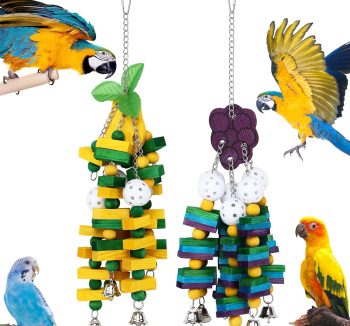 bird toys for mental stimulation