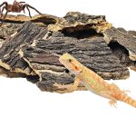 reptile natural habitat bedding