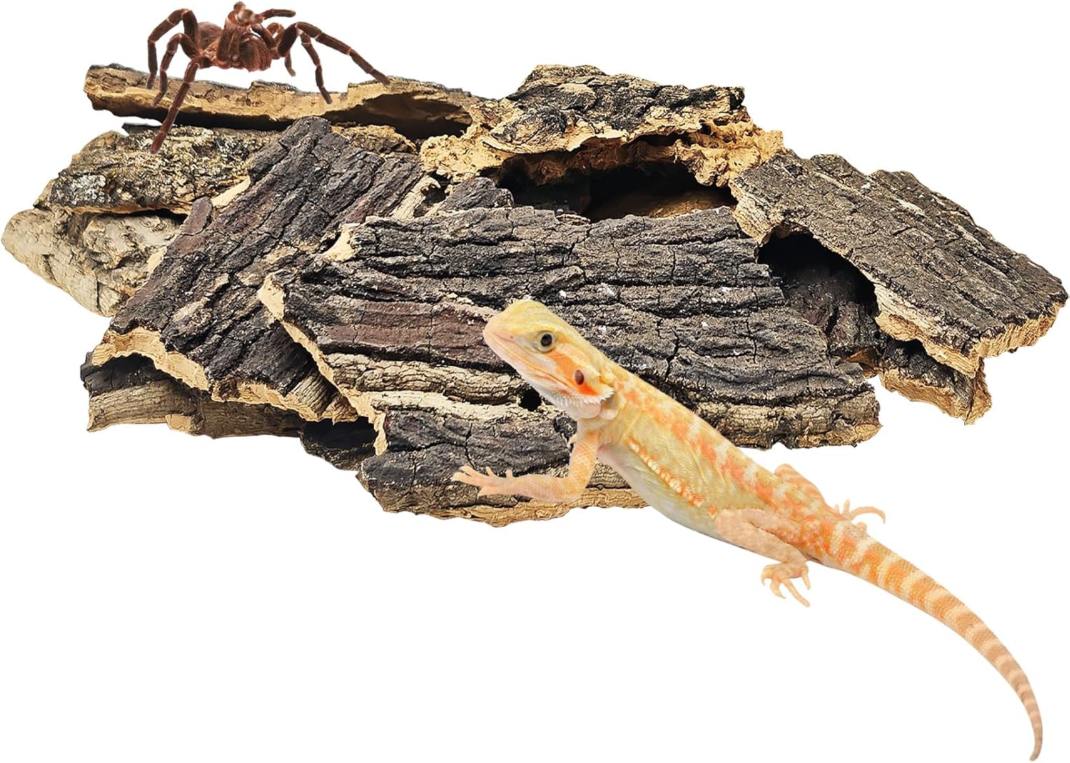 reptile natural habitat bedding