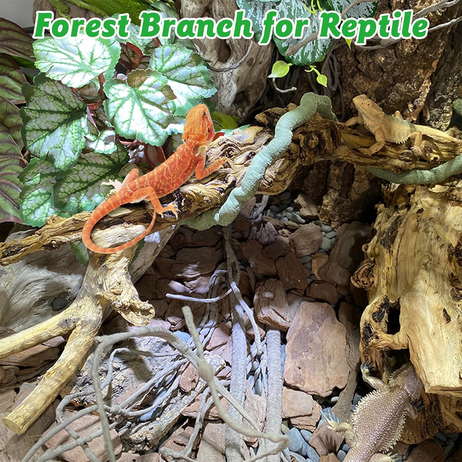 Reptile Branch Decor 2 Pcs Snake Climbing Wood Branches Lizard Habitat Decorations Terrarium Natural Forest Tree Trunk Ornament for Bearded Dragon Geckos Chameleon Frog - Happypetzone.online - Image 3