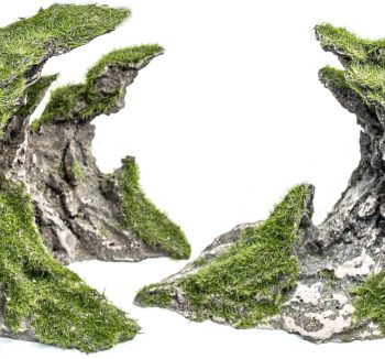 premium aquarium tank