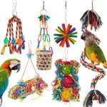 bird toy set bundle
