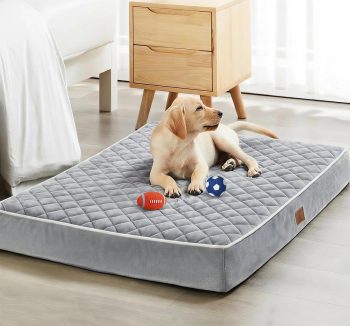 dog bed durable