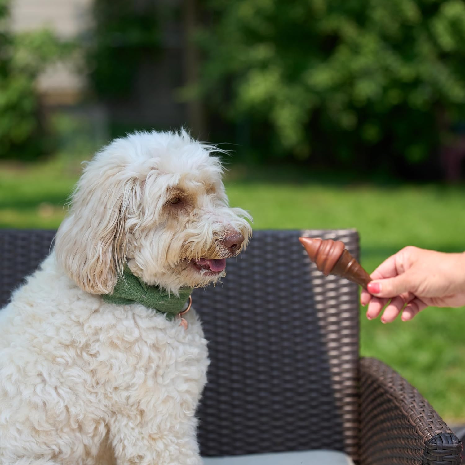 SPOT Pup Ice- Ready to Freeze at Home Dog Treats-Edible Chews for Medium Breed Dogs & Puppies with Real Chicken to Keep Your Pup Cool Year Round, Waffle Cone Strawberry Flavor, 2pcs - Happypetzone.online - Image 11