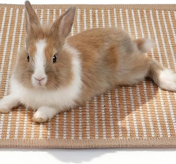rabbit health care products